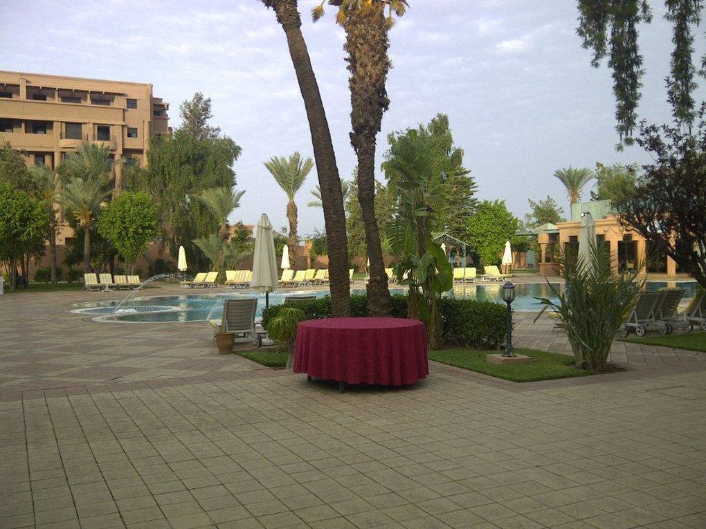 17 et 18 mai 2012. Conférence Fraud Risk et Revenue Assurance. Hôtel Mansour eddhabi.