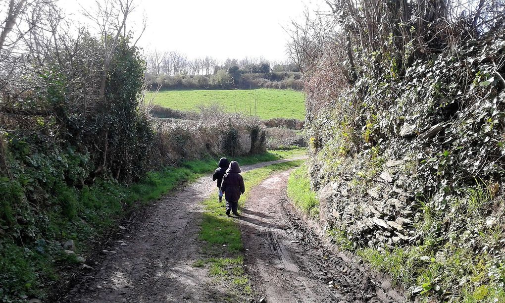 Petite promenade à la campagne