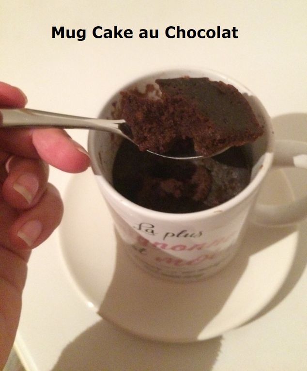 Mug Cake au Chocolat
