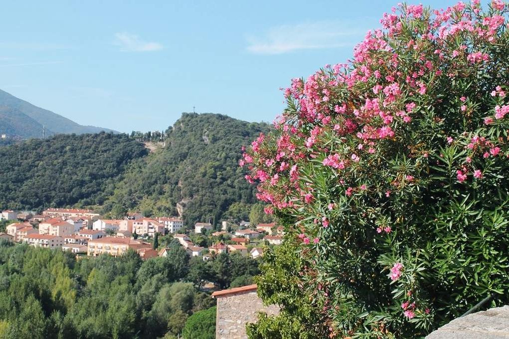 Magnifique, ce petit village de Palalda ...