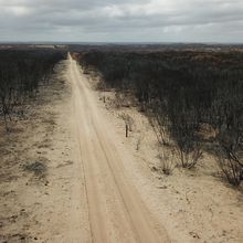 Sécheresse en Australie : chute historique de la production agricole