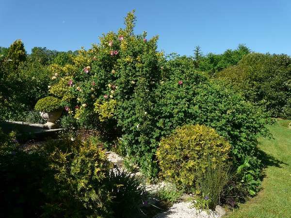 Quelques photos de ma visite au jardin d'Entêoulet - Gers