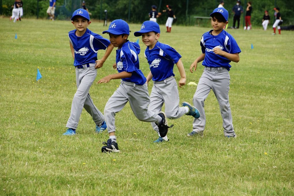 U9 - Tigers vs Cougars et French Cubs