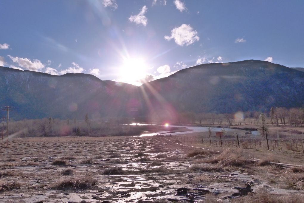 2 semaines passées dans une ferme à Cawston, dans le sud de la colombie britannique. Ce village est située dans la vallée de l'Okanagan, près de Osoyoos où débute le désert canadien. Ce désert canadien s’étend de la frontière américaine