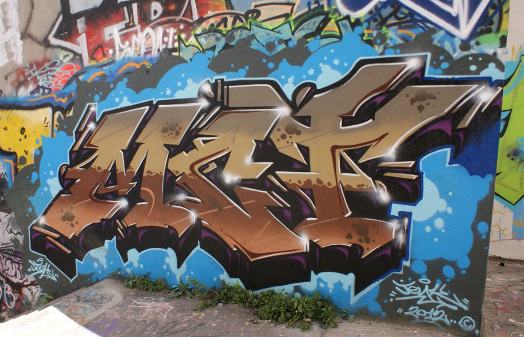 Album - Graffitis-Paris-divers-Tom-016