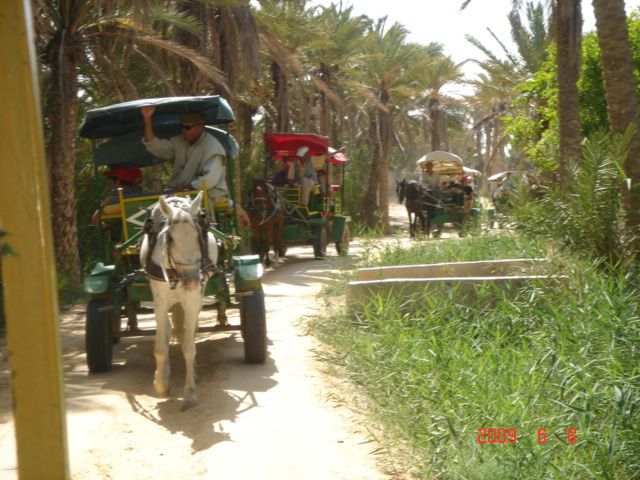 Album - djerba