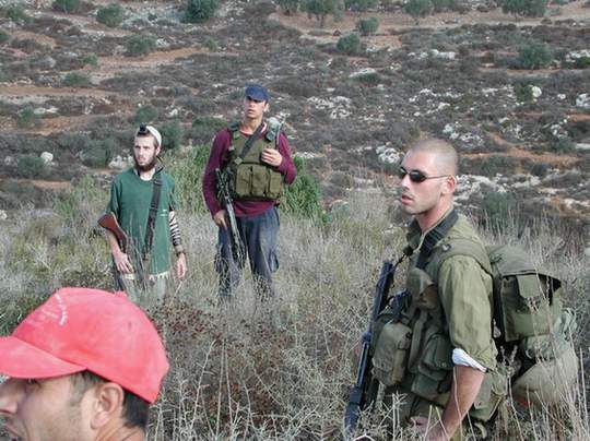 Admirez le spectacle des colons en action sur le sol Palestinien...