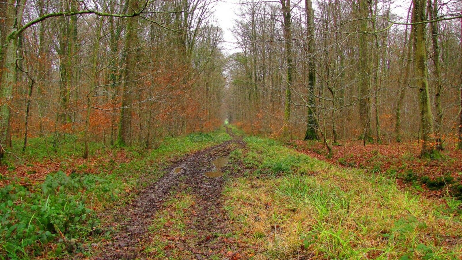 la Route Droite