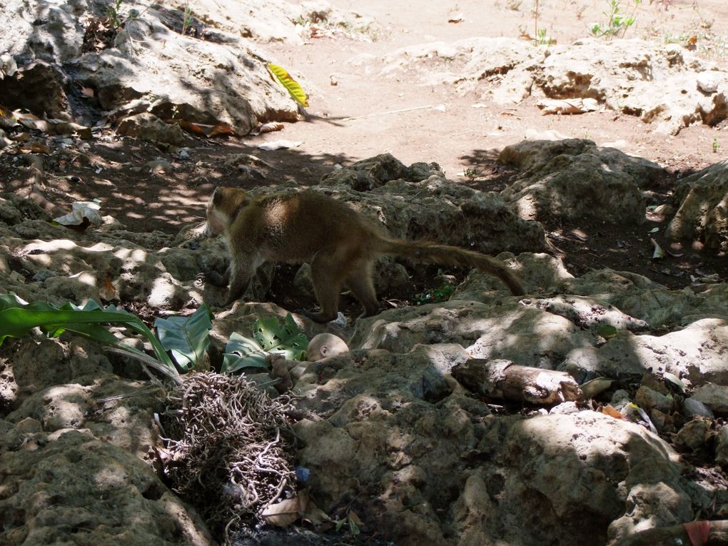 Album - Mexique Tulum