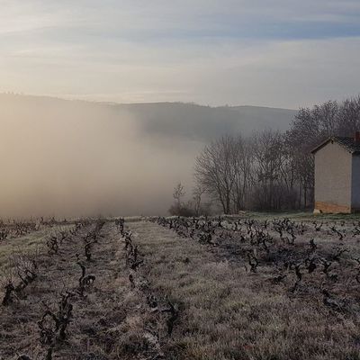 Décembre 2018 au Crêt du Ris