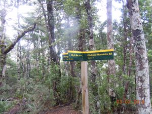 RMT- Ruapehu Round the Mountain Track - New Zealand