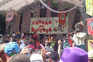 Bloco do Cordão do Boitata - Carnaval Rio 2014 (2)