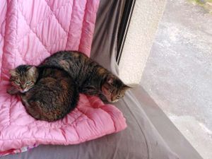 Sicille et Kessy sont devenues d'excellentes amies.