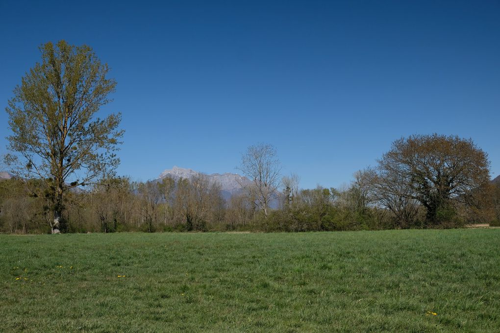 COMBE DE SAVOIE