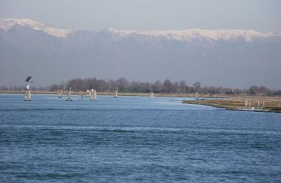 Venerdi' 28 marzo : le isole