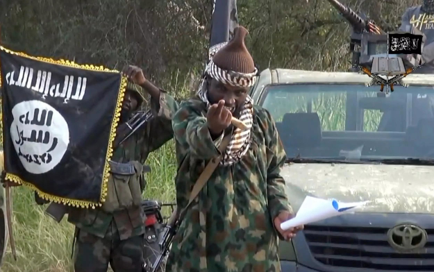 BREAKING! Boko Haram Kills 13 In Fresh Attack On Niger Village
