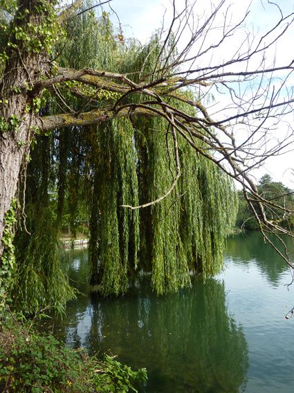 Quelques images glanées au hasard de mes randos normandes.