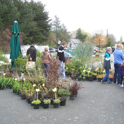 Marché aux Plantes à Andel