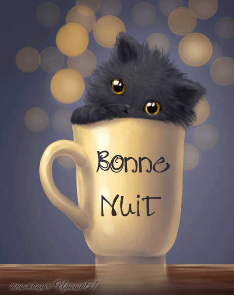 Bonne Nuit Chaton Tasse Gif Anime Gratuit Le Monde Des Gifs