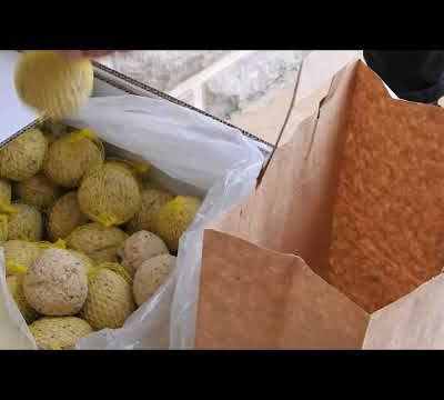 Nourriture pour oiseaux : on n'en veut plus de vos déchets !