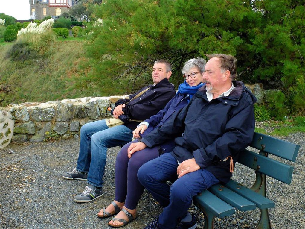 Les &quot;bancales&quot; à Cancale 