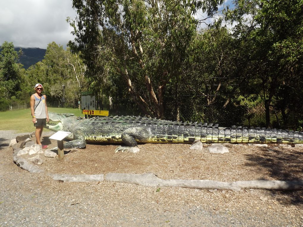 Dans le climat tropical du Queensland