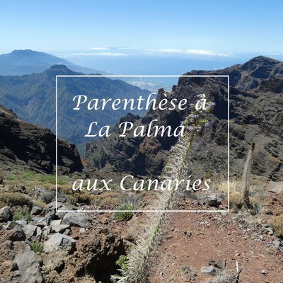 Parenthèse à La Palma, aux Canaries, 2022