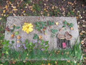 Du &quot; Land Art &quot; au jardin avec les petits bouts Octobre 2017 