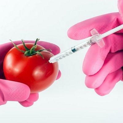      ADDITIFS ALIMENTAIRES : BON APPETIT ?