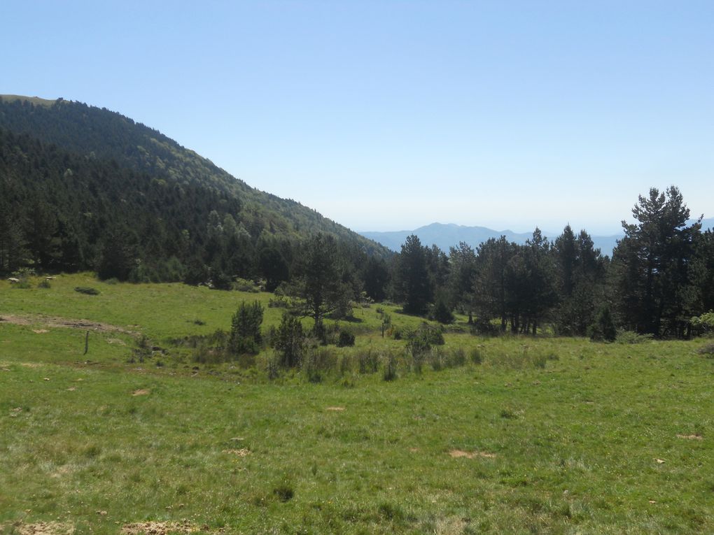 Jeudi 21 Juillet: Corsavy, Canigou versant Sud