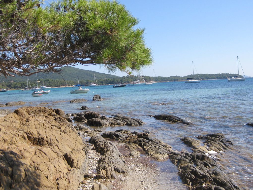 Brégançon, le sentier maritime, que de beautés ! journée magnifique, nous garderons ces images encore longtemps.