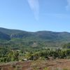 Promenade en forêt // Trip in the mountain