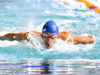 FAN, Fédération Algérienne de natation, site officiel الفدرالية الجزائرية للسباحة