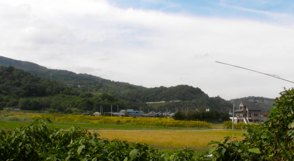 Teshima : toits bleus, végétation et art contemporain