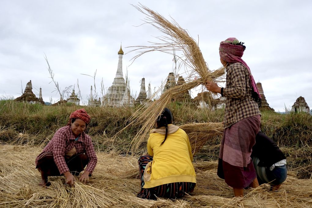 MYANMAR (Birmanie) 🇲🇲