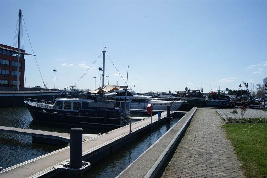 De Piney à Rotterdam
