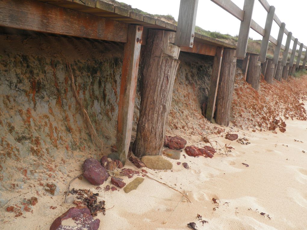 Album - SYD---LONG-REEF-BEACH