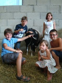 Visite de la ferme