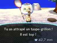 Le résumé de la quinzaine (11) : 