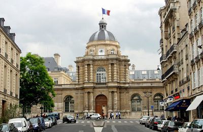 Sénat : pour l'Aube , une élue décentrée qui battait de l'aile au moulin de son village ...