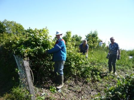 un gros travail  sous le soleil.