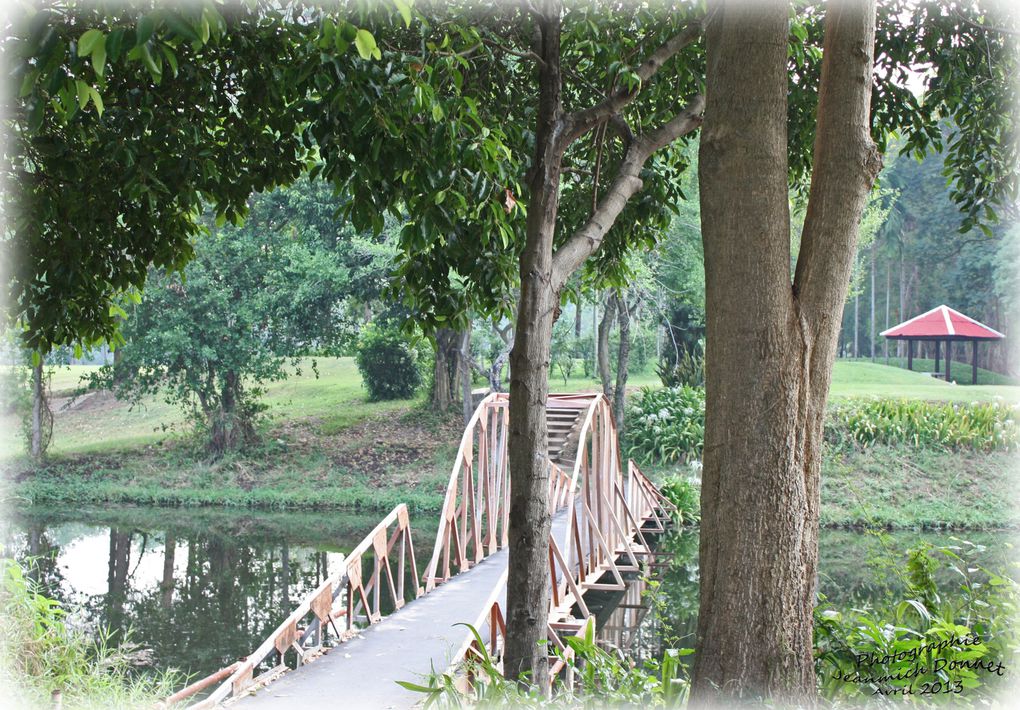 Le golf de Ubonratana Dam situé dans la province de Khon Kaen tout proche du plus grand barrage de la grande région d'Issan