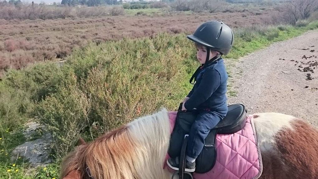 Balade au Poney Club des Salines