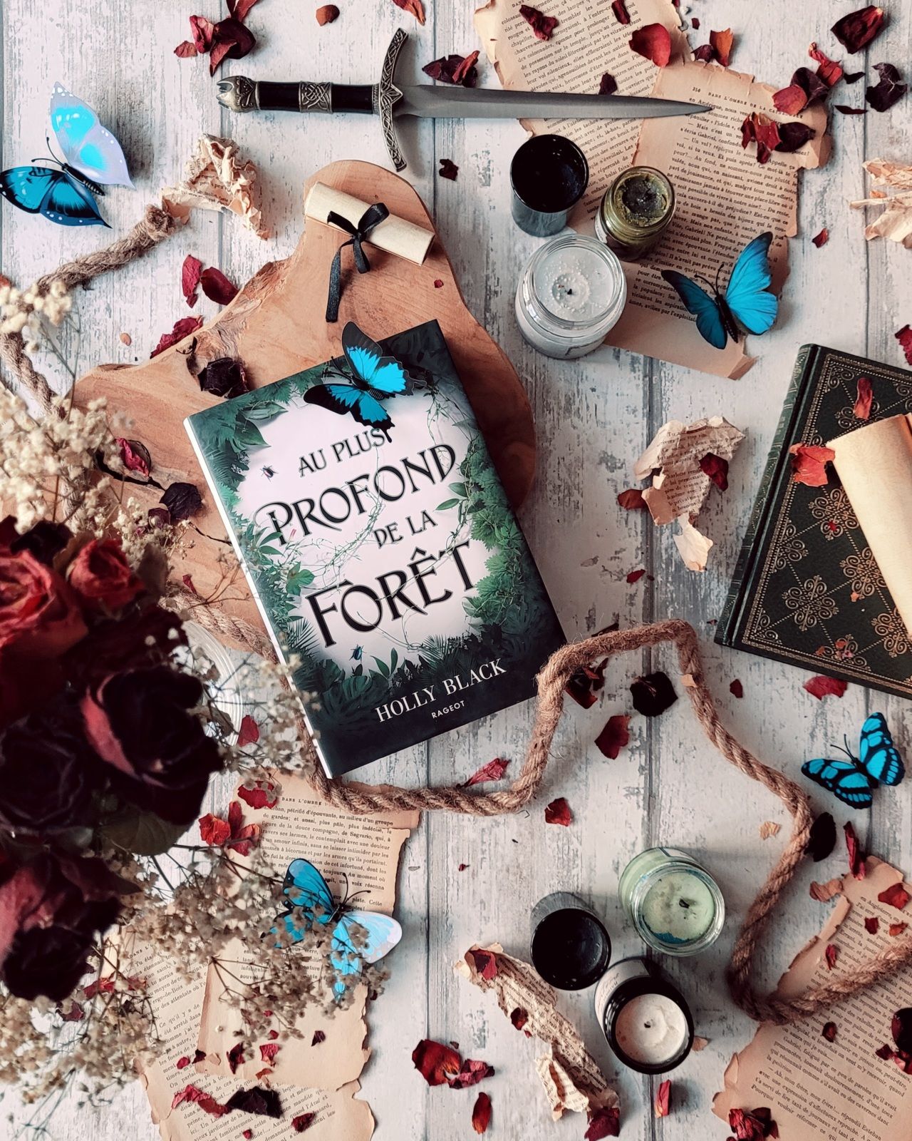 plus profond forêt Holly Black