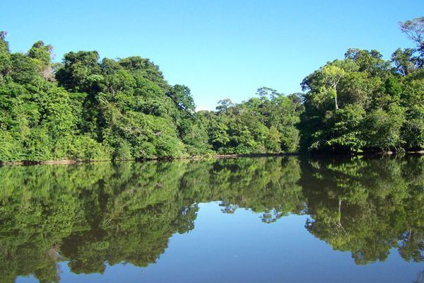 ÉCHO DES RÉGIONS DE L’OUTRE-MER/ CAYENNE (GUYANE FRANÇAISE) DIMANCHE  19 MARS 2023 : ALEX ACHILLE, PRÉSIDENT DÉPARTEMENTAL DE GUYANE A REPRÉSENTÉ LE MÉMORIAL NATIONAL DES VÉTÉRANS DES ESSAIS NUCLÉAIRES À L’OCCASION DE LA JOURNÉE NATIONALE D’HOMMAGE AUX MORTS DURANT LA GUERRE D’ALGÉRIE ET LES COMBATS DU MAROC ET DE TUNISIE ET ÉTÉ DÉLÉGUÉ PAR LA PRÉFECTURE POUR DÉPOSER UNE GERBE AU PIED 