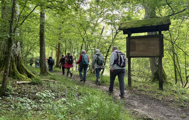 Randonnée de Bussy-Saint-Georges à Ozoir-la-Ferrière - 18 km.