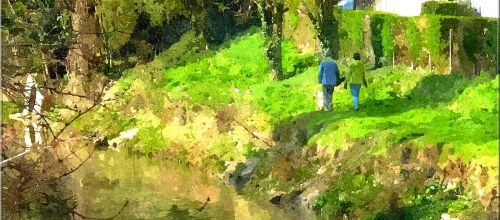 Le photographe du bonheur