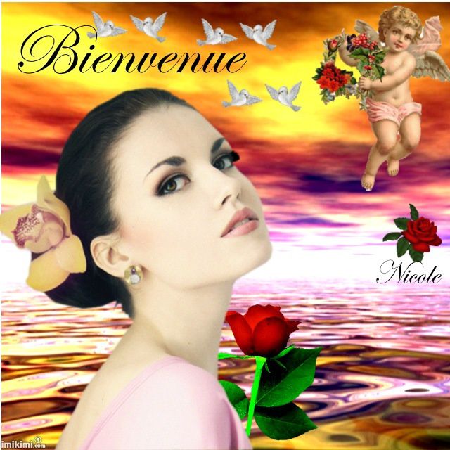 Album - BIENVENUE-ET-MERCI