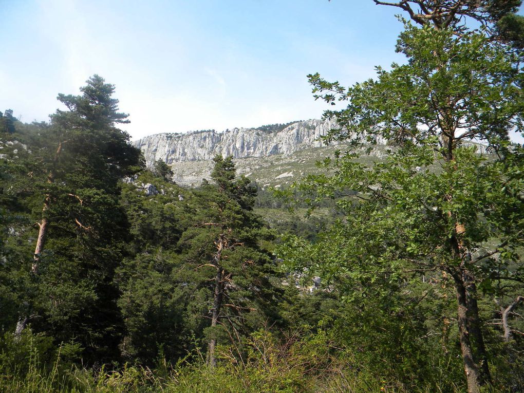 Le sentier de Nans