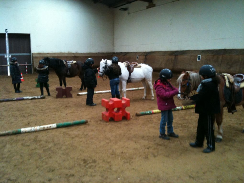 Les élèves de l'école Louise Michel et leurs poneys...